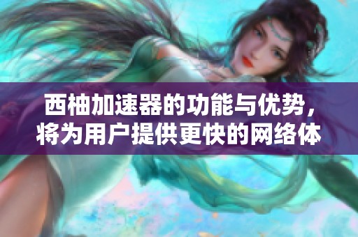 西柚加速器的功能与优势，将为用户提供更快的网络体验