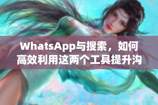 WhatsApp与搜索，如何高效利用这两个工具提升沟通效率