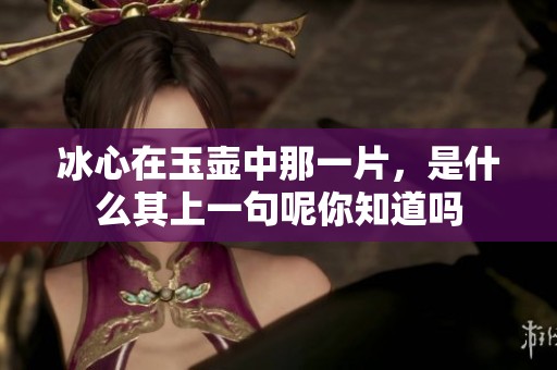 冰心在玉壶中那一片，是什么其上一句呢你知道吗