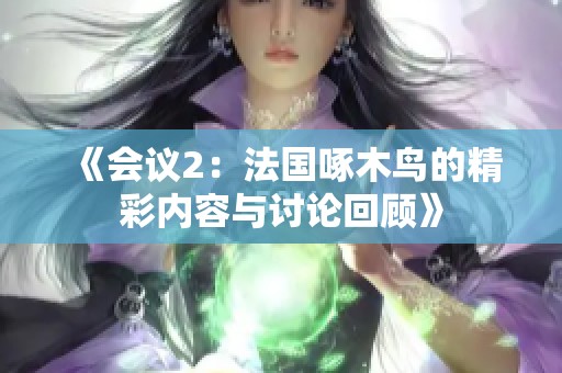 《会议2：法国啄木鸟的精彩内容与讨论回顾》