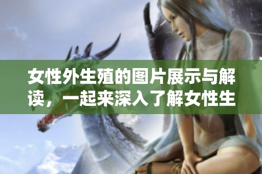 女性外生殖的图片展示与解读，一起来深入了解女性生殖系统的秘密