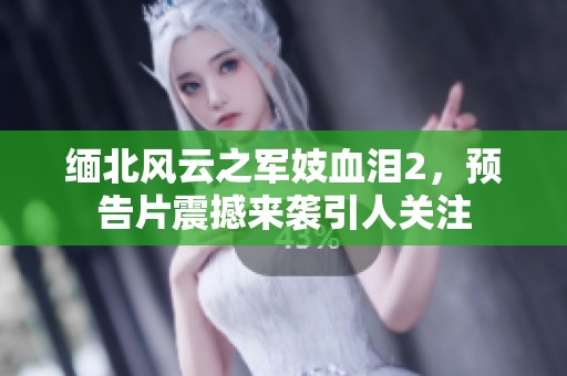 缅北风云之军妓血泪2，预告片震撼来袭引人关注
