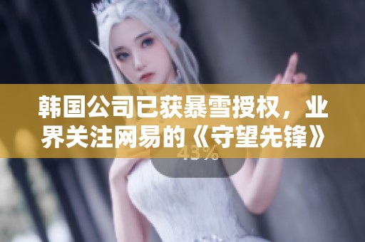 韩国公司已获暴雪授权，业界关注网易的《守望先锋》国服战网情况