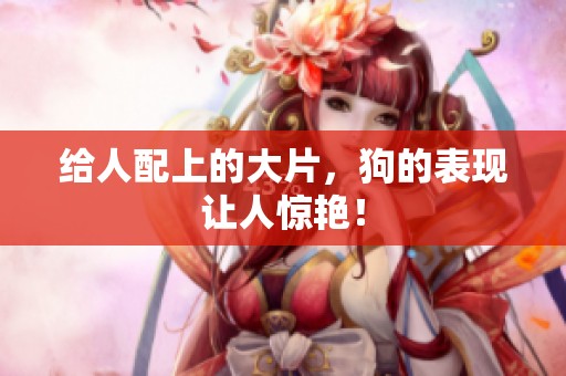 给人配上的大片，狗的表现让人惊艳！