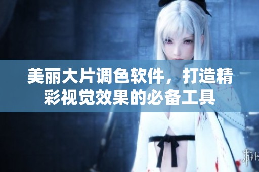 美丽大片调色软件，打造精彩视觉效果的必备工具