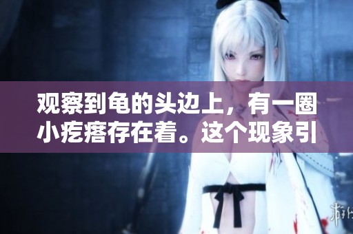观察到龟的头边上，有一圈小疙瘩存在着。这个现象引发了我的好奇。