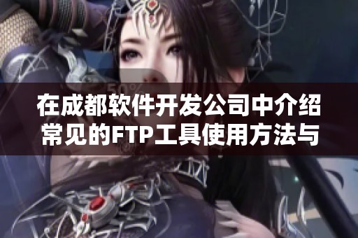 在成都软件开发公司中介绍常见的FTP工具使用方法与技巧