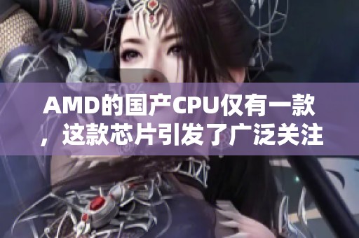 AMD的国产CPU仅有一款，这款芯片引发了广泛关注和讨论