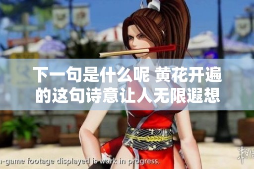 下一句是什么呢 黄花开遍的这句诗意让人无限遐想