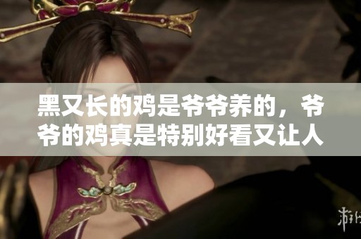 黑又长的鸡是爷爷养的，爷爷的鸡真是特别好看又让人喜欢