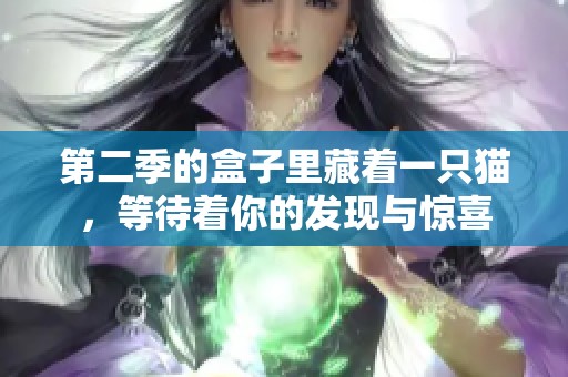 第二季的盒子里藏着一只猫，等待着你的发现与惊喜