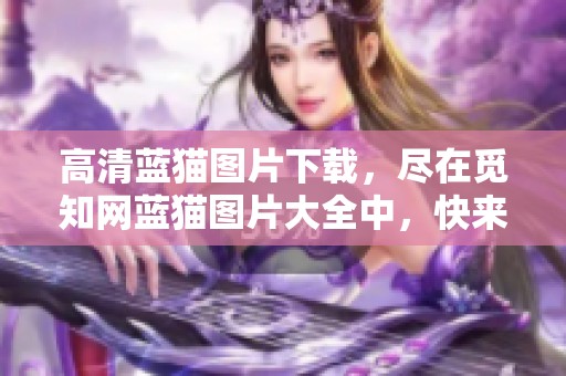 高清蓝猫图片下载，尽在觅知网蓝猫图片大全中，快来查看吧！