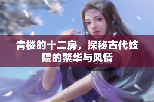 青楼的十二房，探秘古代妓院的繁华与风情
