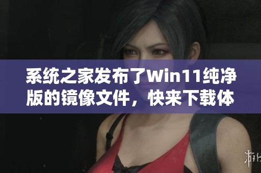 系统之家发布了Win11纯净版的镜像文件，快来下载体验吧！