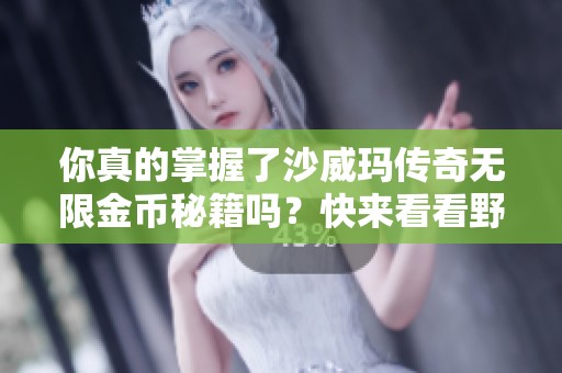 你真的掌握了沙威玛传奇无限金币秘籍吗？快来看看野鹤号的揭秘吧！
