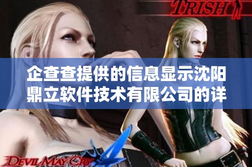 企查查提供的信息显示沈阳鼎立软件技术有限公司的详细资料与动态分析