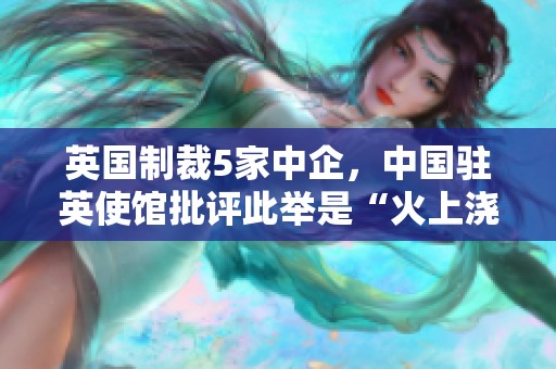 英国制裁5家中企，中国驻英使馆批评此举是“火上浇油”行为