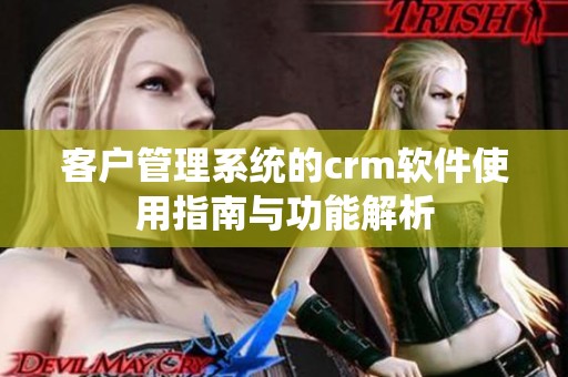 客户管理系统的crm软件使用指南与功能解析
