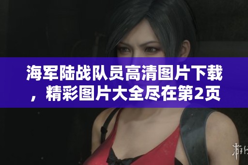 海军陆战队员高清图片下载，精彩图片大全尽在第2页，快来查看吧！
