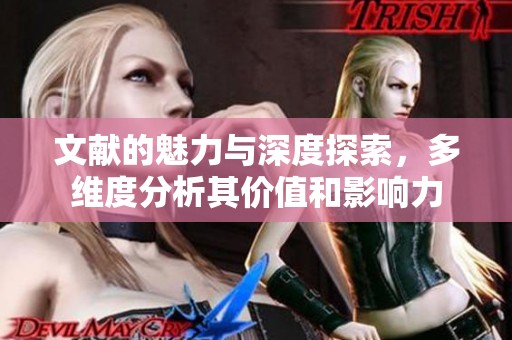 文献的魅力与深度探索，多维度分析其价值和影响力