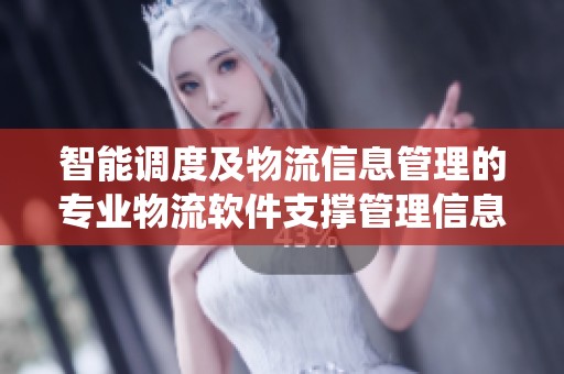 智能调度及物流信息管理的专业物流软件支撑管理信息系统的高效运作
