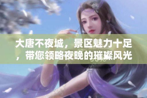 大唐不夜城，景区魅力十足，带您领略夜晚的璀璨风光