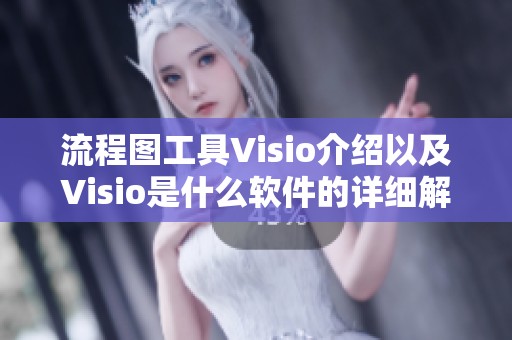 流程图工具Visio介绍以及Visio是什么软件的详细解析