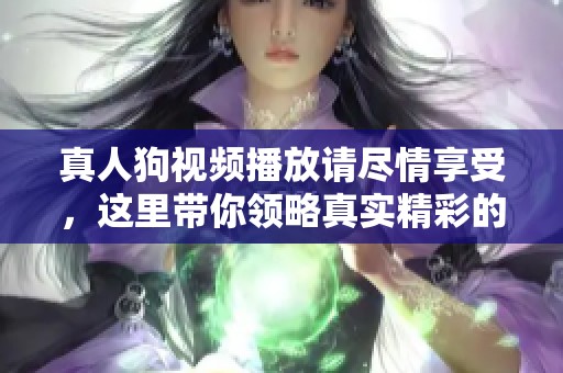 真人狗视频播放请尽情享受，这里带你领略真实精彩的宠物时刻