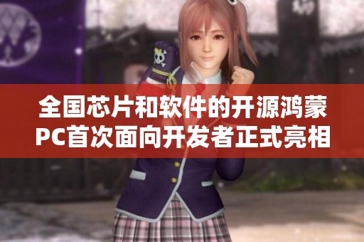 全国芯片和软件的开源鸿蒙PC首次面向开发者正式亮相