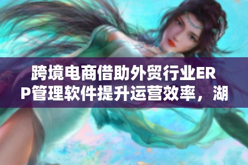 跨境电商借助外贸行业ERP管理软件提升运营效率，湖畔网络万重助力实现高效管理