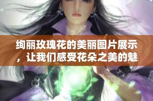 绚丽玫瑰花的美丽图片展示，让我们感受花朵之美的魅力与芬芳