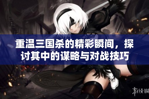 重温三国杀的精彩瞬间，探讨其中的谋略与对战技巧