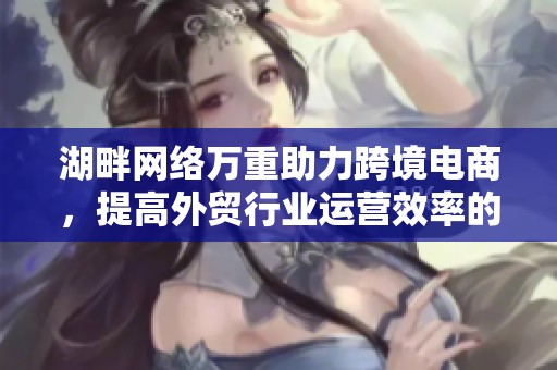 湖畔网络万重助力跨境电商，提高外贸行业运营效率的ERP管理软件
