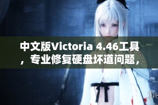 中文版Victoria 4.46工具，专业修复硬盘坏道问题，助你轻松解决硬盘故障