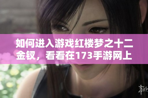 如何进入游戏红楼梦之十二金钗，看看在173手游网上的具体方法
