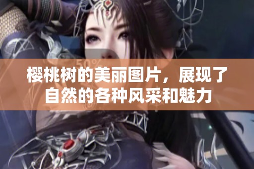 樱桃树的美丽图片，展现了自然的各种风采和魅力