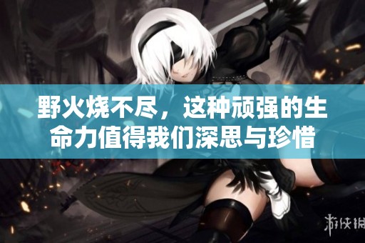 野火烧不尽，这种顽强的生命力值得我们深思与珍惜