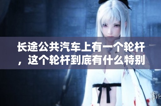 长途公共汽车上有一个轮杆，这个轮杆到底有什么特别之处呢