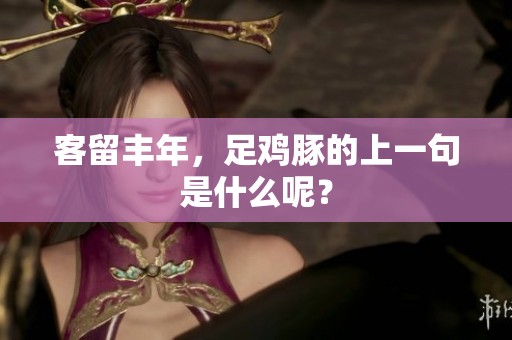 客留丰年，足鸡豚的上一句是什么呢？