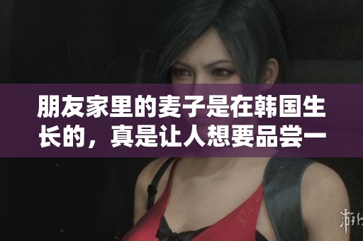 朋友家里的麦子是在韩国生长的，真是让人想要品尝一下。