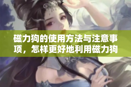 磁力狗的使用方法与注意事项，怎样更好地利用磁力狗这个工具