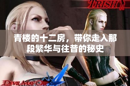 青楼的十二房，带你走入那段繁华与往昔的秘史