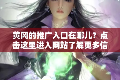 黄冈的推广入口在哪儿？点击这里进入网站了解更多信息！
