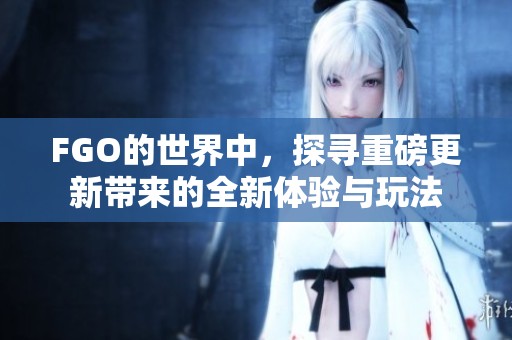 FGO的世界中，探寻重磅更新带来的全新体验与玩法