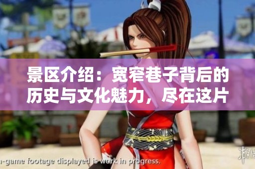 景区介绍：宽窄巷子背后的历史与文化魅力，尽在这片古老街区中展现