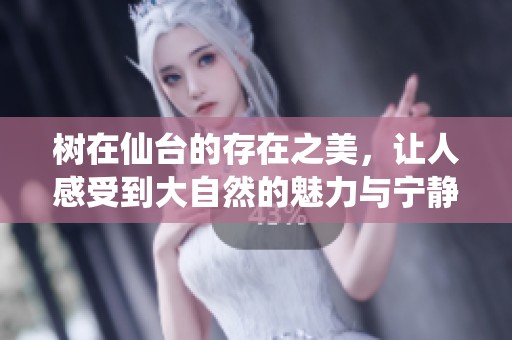 树在仙台的存在之美，让人感受到大自然的魅力与宁静