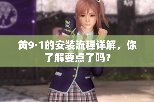 黄9·1的安装流程详解，你了解要点了吗？