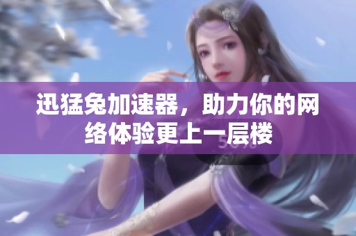 迅猛兔加速器，助力你的网络体验更上一层楼