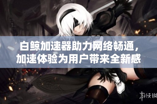 白鲸加速器助力网络畅通，加速体验为用户带来全新感受