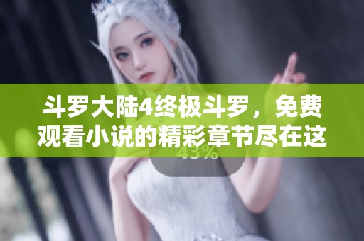 斗罗大陆4终极斗罗，免费观看小说的精彩章节尽在这里！